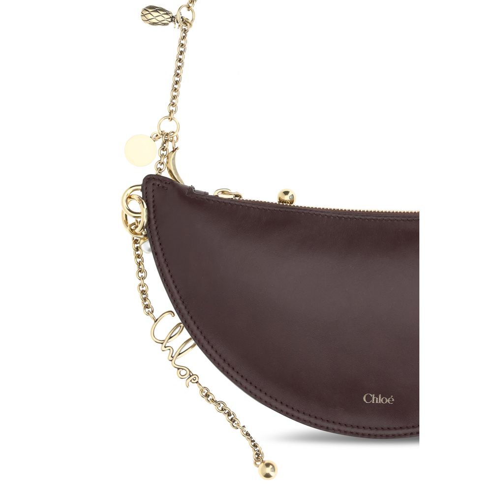 Chloé Brown Lamb Ovis Aries Aries Shoulder Bag Chloé