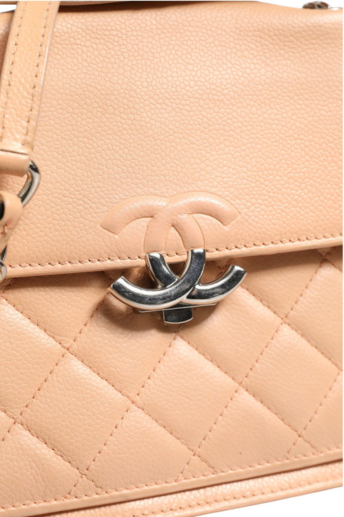 Chanel Goatskin Quilted Small CC Box Flap Bag Chanel