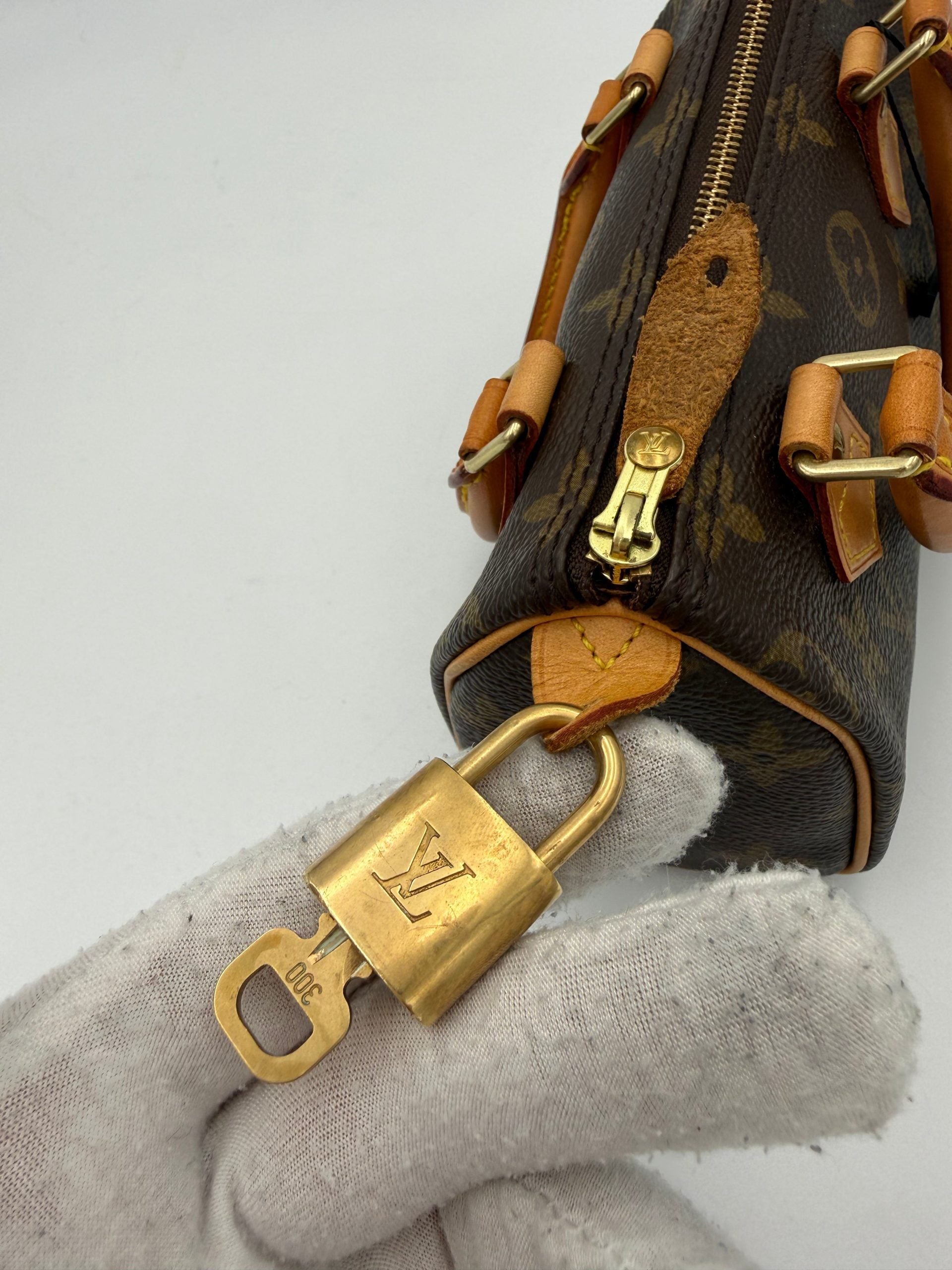 Louis Vuitton LOUIS VUITTON Nano Speedy Monogram Handbag Louis Vuitton