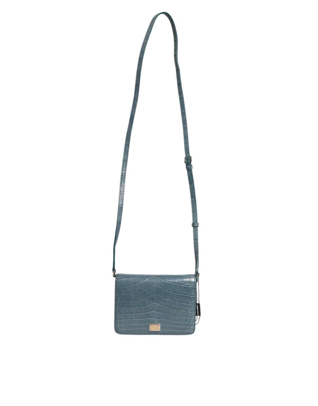 Dolce & Gabbana Green Crocodile & Calf Leather DG Plaque Crossbody Mini Bag Dolce & Gabbana