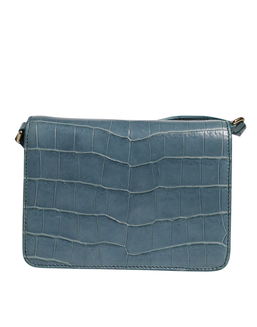 Dolce & Gabbana Green Crocodile & Calf Leather DG Plaque Crossbody Mini Bag Dolce & Gabbana
